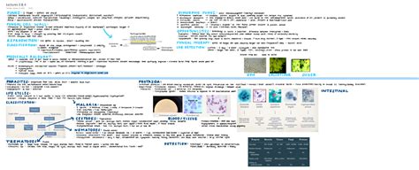 Lectures And Lecture Summary For Micr Lecture And Micr