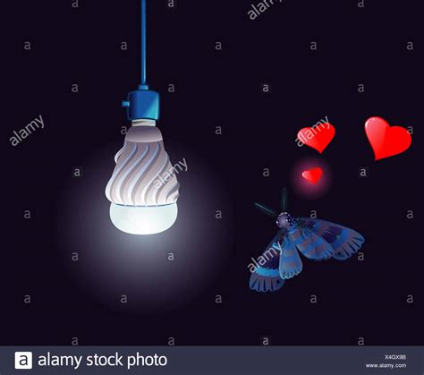 Moth Light Bulb Stock Photos & Moth Light Bulb Stock Images - Alamy