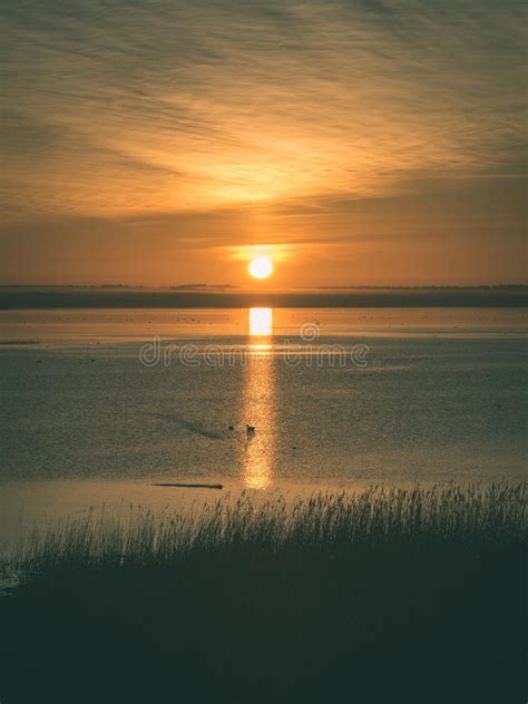 Beautiful Sunrise Over Country Lake Vintage Green Look Stock Image