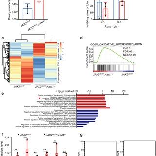 The Combination Of Ruxolitinib And Abt Promoted Apoptosis And