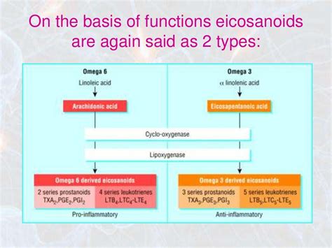 Eicosanoids