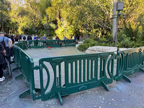 PHOTOS: Bioluminescent Forest Walkways in Pandora — The World of Avatar Being Repainted at ...