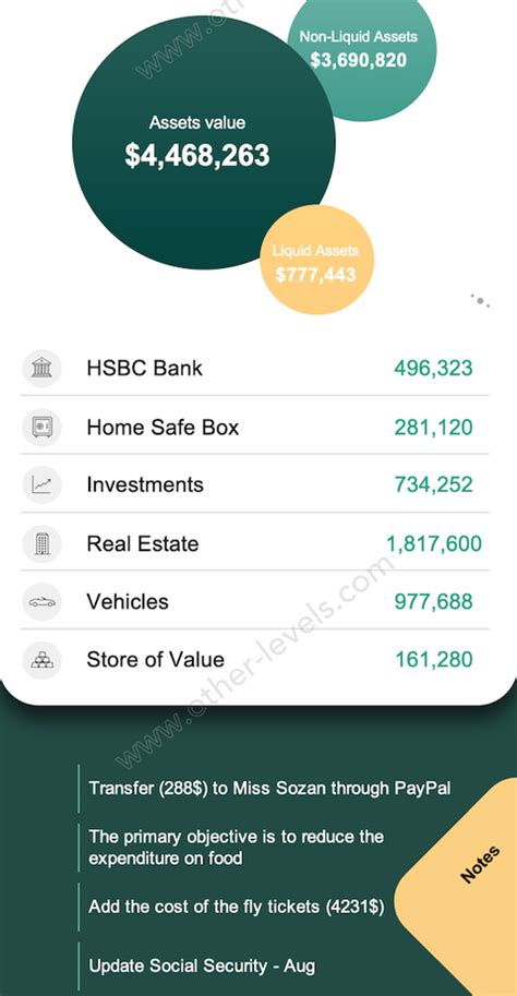 Personal Finance Dashboard - Excel Mobile Version – Other Levels