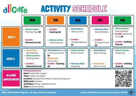 day program nsw  qld allcare registered ndis disability servicer