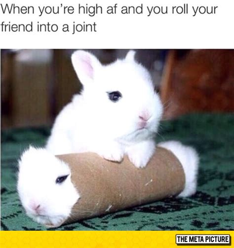 Its Bunnii Spilends The Weirdest Moment Laugh Out Loud You Never Saw news