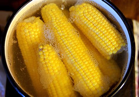 Boil Corn On The Cob Quick Easy Guide