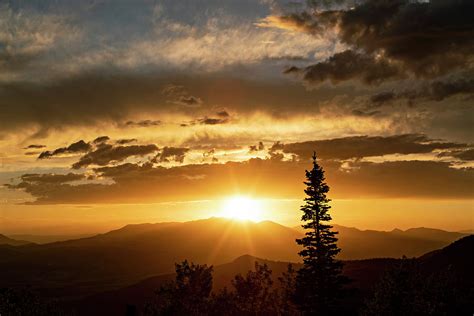 Pine Tree at Sunset Photograph by Wesley Aston - Fine Art America