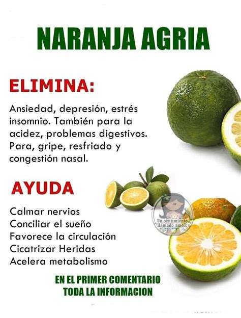 Descubre Los Beneficios Sorprendentes De La Naranja Agria Fuente Remedio