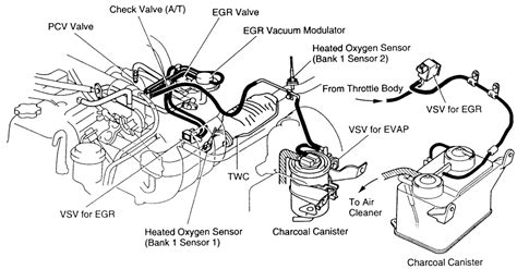 Toyota Camry Vacuum Hose Diagram