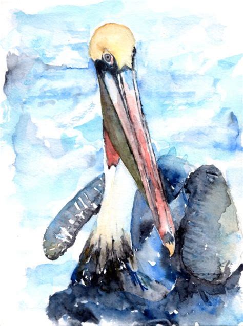 Pelican Afloat Watercolor Paintings Coastal Watercolor