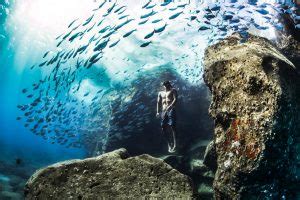 World Nature Photography Awards Vincitori Ecco Le Foto Fotonerd