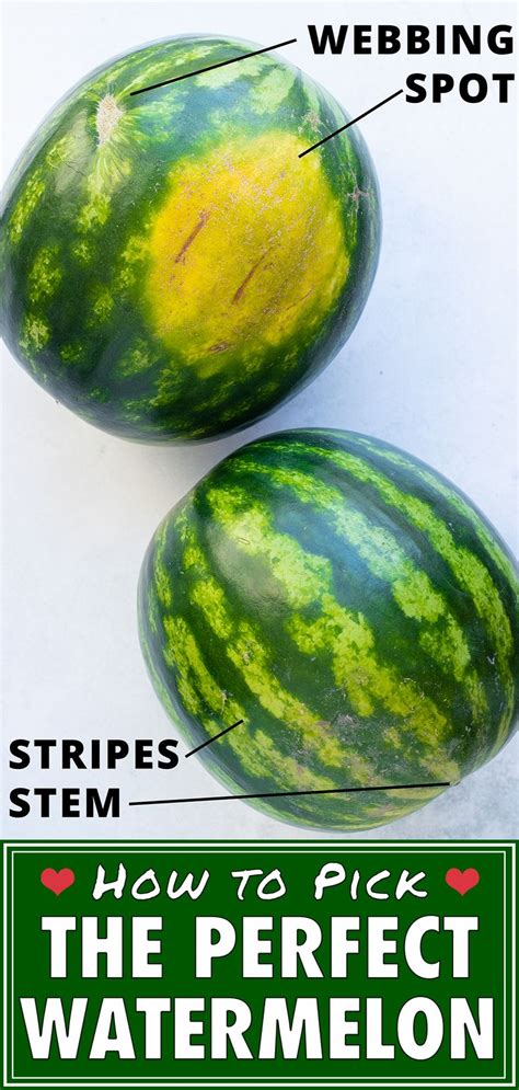 How To Pick The Best Watermelon Super Ripe Sweet Evolving Table