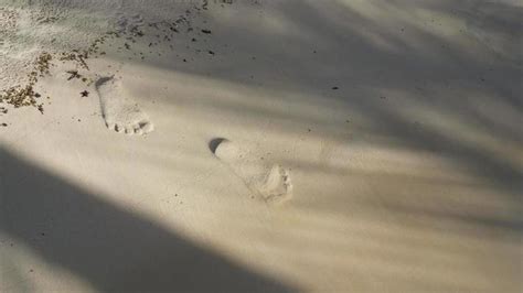 Footprints In The Sand Stock Video Footage for Free Download