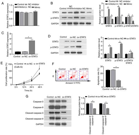 Cucurbitacin B Enhances Apoptosis In Gefitinib Resistant Non‑small Cell