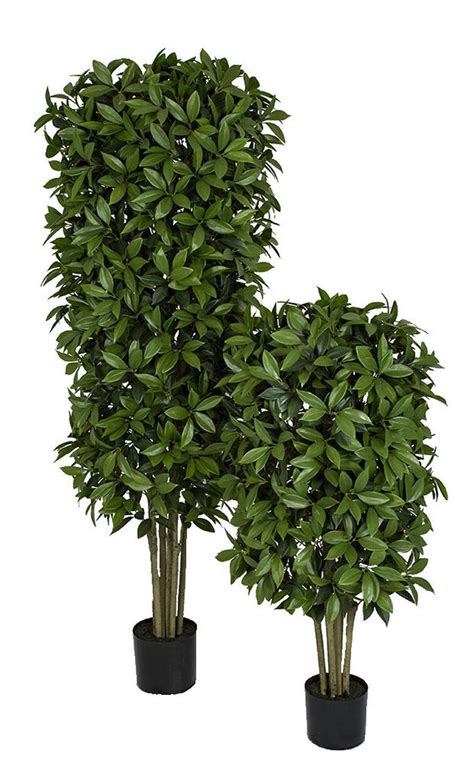 Earthflora Artificial Boxwood Square Topiary 4 Foot Or 6 Foot Artificial Bay Laurel Topiary Tree