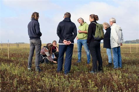 Agroforstsysteme Vrd Stiftung F R Erneuerbare Energien