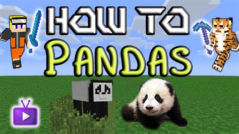 Minecraft How To Mo Creatures Taming Pandas YouTube