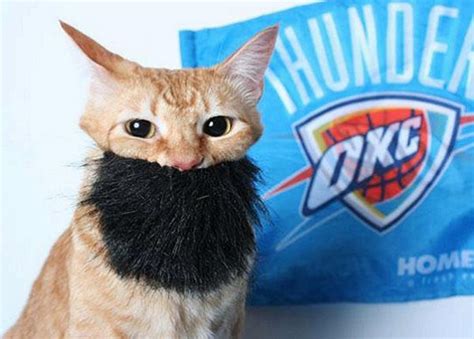 Ten Cats With Beards Who Are More Than A Man Than Most Men