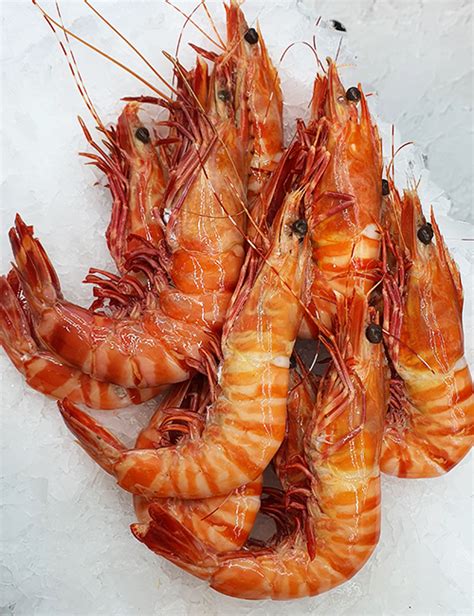 Cooked Tiger Prawn