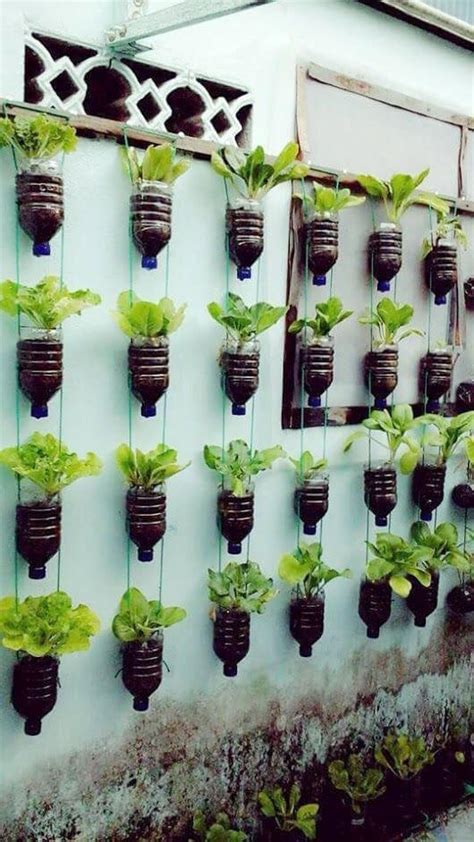 Easy Diy Gardening Ideas With Vegetables That Surprised You