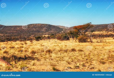 South African Landscape, Nature Backgrounds Stock Photo - Image of blue ...