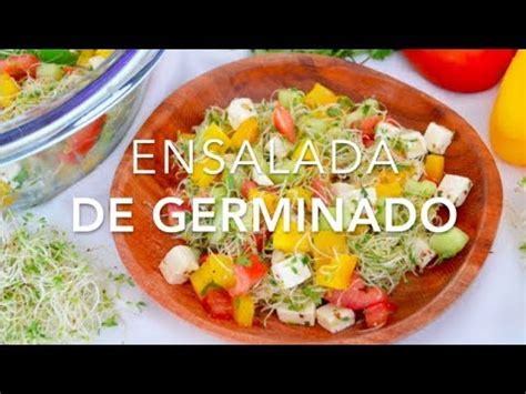 Introducir Imagen Recetas Con Germinados Abzlocal Mx