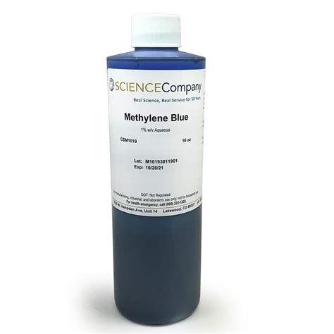methylene blue  stain animal cells seche
