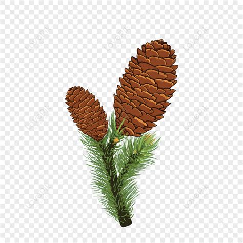 Autumn Pine Cone Pine Cone Icon Cone Plant Png Transparent Image And