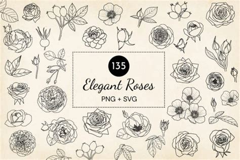 Hand Drawn Roses Svg Vector Bundle Graphic By Paper Art Garden