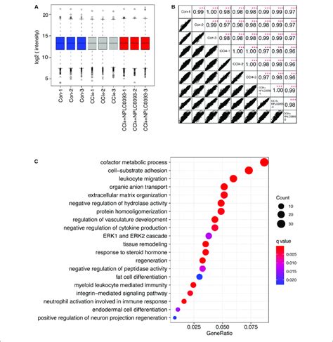 Identification Of Potential Target Of Nplc By Bioinformatic