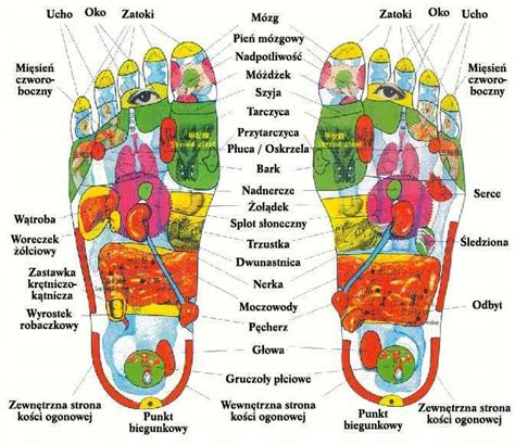 Refleksologia stóp Klinika Medycyny Naturalnej ZDROWIE