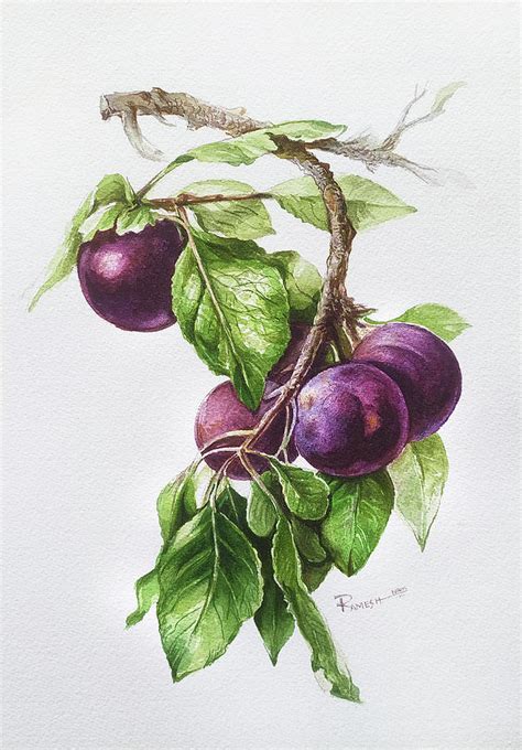 Still Life Of Plums On A Branch Pair Painting By Ramesh Nair Pixels