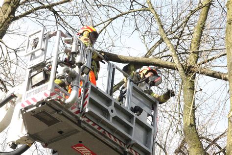 Brandweer Verwijdert Gevaarlijke Hangende Takken Van Bomen Eemnes