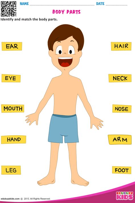 algunproblemita: Body Parts Worksheet Preschool