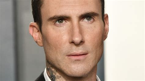 Fast Facts About Adam Levine His Life And Career