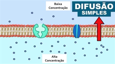 Difus O Simples E Facilitada Youtube