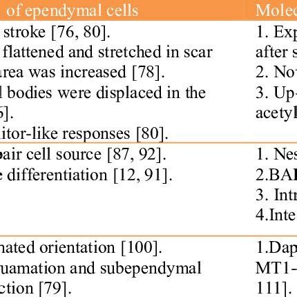 Function of ependymal cells in CNS diseases. | Download Scientific Diagram