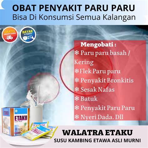 Obat Penyakit Paru Paru Solusi Gangguan Pernapasan Bronkitis