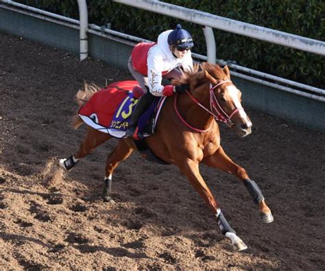 【皐月賞】凱旋門賞馬の全弟シンエンペラー軽快 坂井瑠星騎手「やっぱり素晴らしい馬」 競馬ニュース Netkeiba