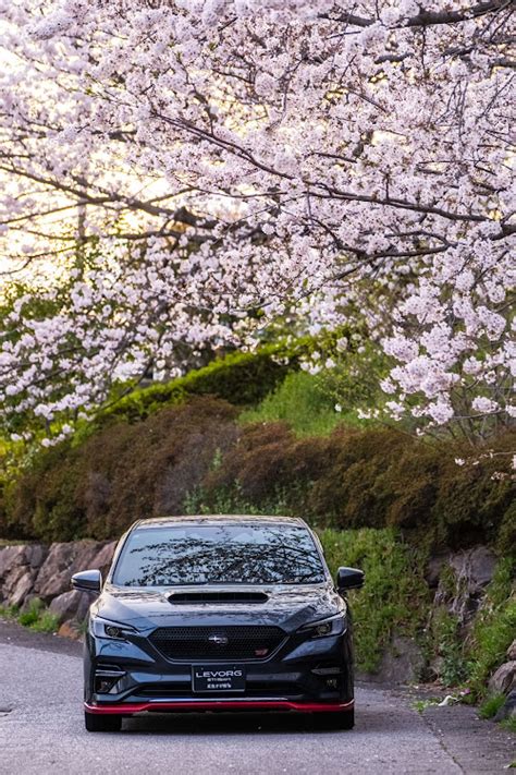 レヴォーグのいつもイイね＆コメントありがとうございます😆・サクラと愛車・桜とコラボ・黄昏時・生存報告に関するカスタム事例｜車のカスタム情報はcartune