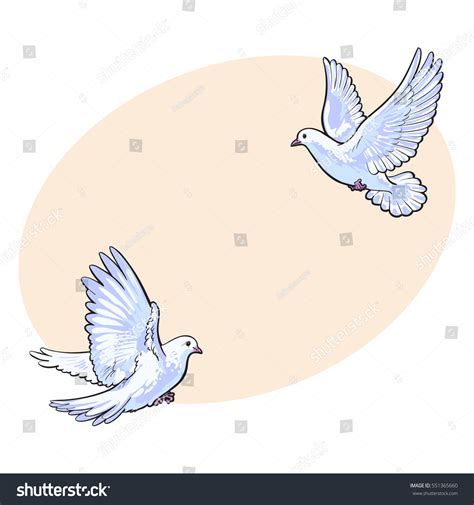 Two Free Flying White Doves Sketch เวกเตอร์สต็อก ปลอดค่าลิขสิทธิ์