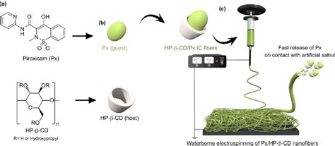 A Chemical Structures Of Hp Cd And Px And B A Cartoon Showing The