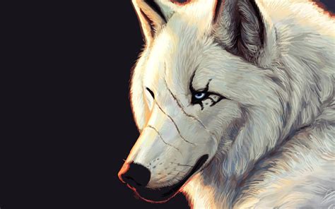 Lobo Blanco Con Ojos Azules Fondos De Pantalla Hd Wallpapers Hd