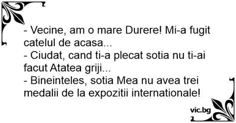 Vecine Am O Mare Durere Mi A Fugit Catelul De Acasa Ciudat