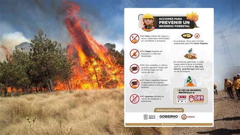 Protección Civil Da Recomendaciones Para Prevenir Incendios Forestales