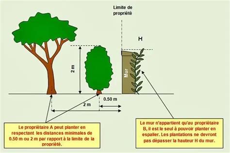 La preuve numérique snapacte Planter des arbres arbustes ou haies