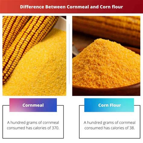 Cornmeal Vs Corn Flour Difference And Comparison