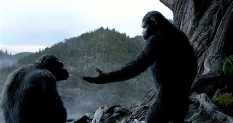 Download Movie Dawn Of The Planet Of The Apes Hd Wallpaper