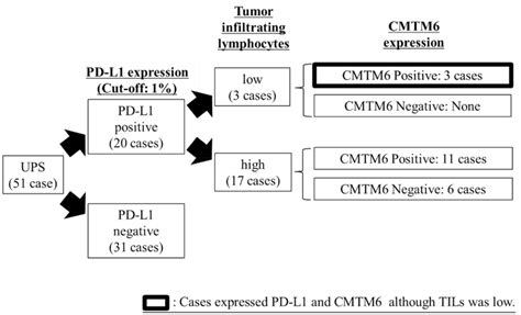 Chart Subgrouping Undifferentiated Pleomorphic Sarcoma Ups According