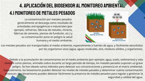 Biosensores Para El Monitoreo Ambiental Ppt